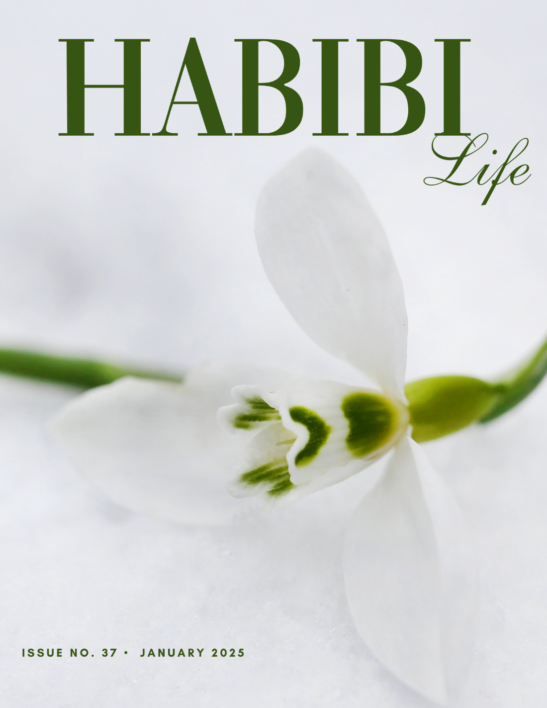 Habibi Life Magazine Ushers in 2025 with Fresh Perspectives for a New Year